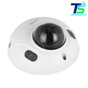 Camera IP Dome 2MP KBVISION KX-CAi2002FN2-AB