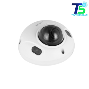 Camera IP Dome 4MP KBVISION KX-CAi4002FN2-AB