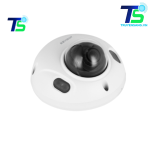 Camera IP Dome 4MP KBVISION KX-CAi4002FN2-AB