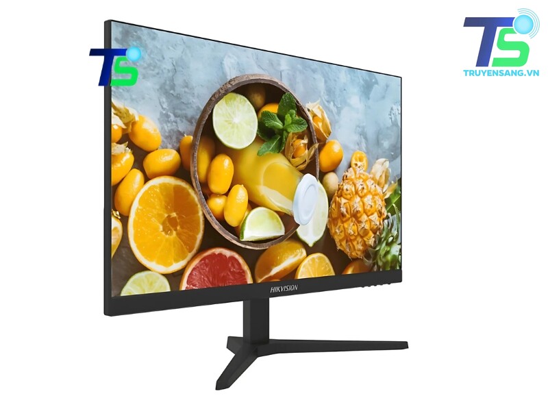Màn hình HIKVISION DS-D5024FN11 2 Màn hình HIKVISION DS-D5024FN11