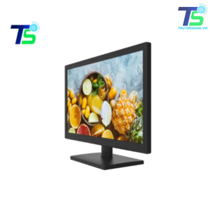 Màn hình máy tính 18.5inch Hikvision DS-D5019QE-B