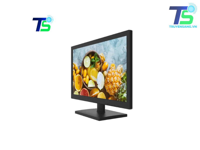 Màn hình máy tính 18.5inch Hikvision DS-D5019QE-B