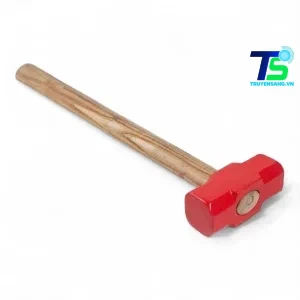 Ảnh minh họa Búa tạ 5kg cán gỗ